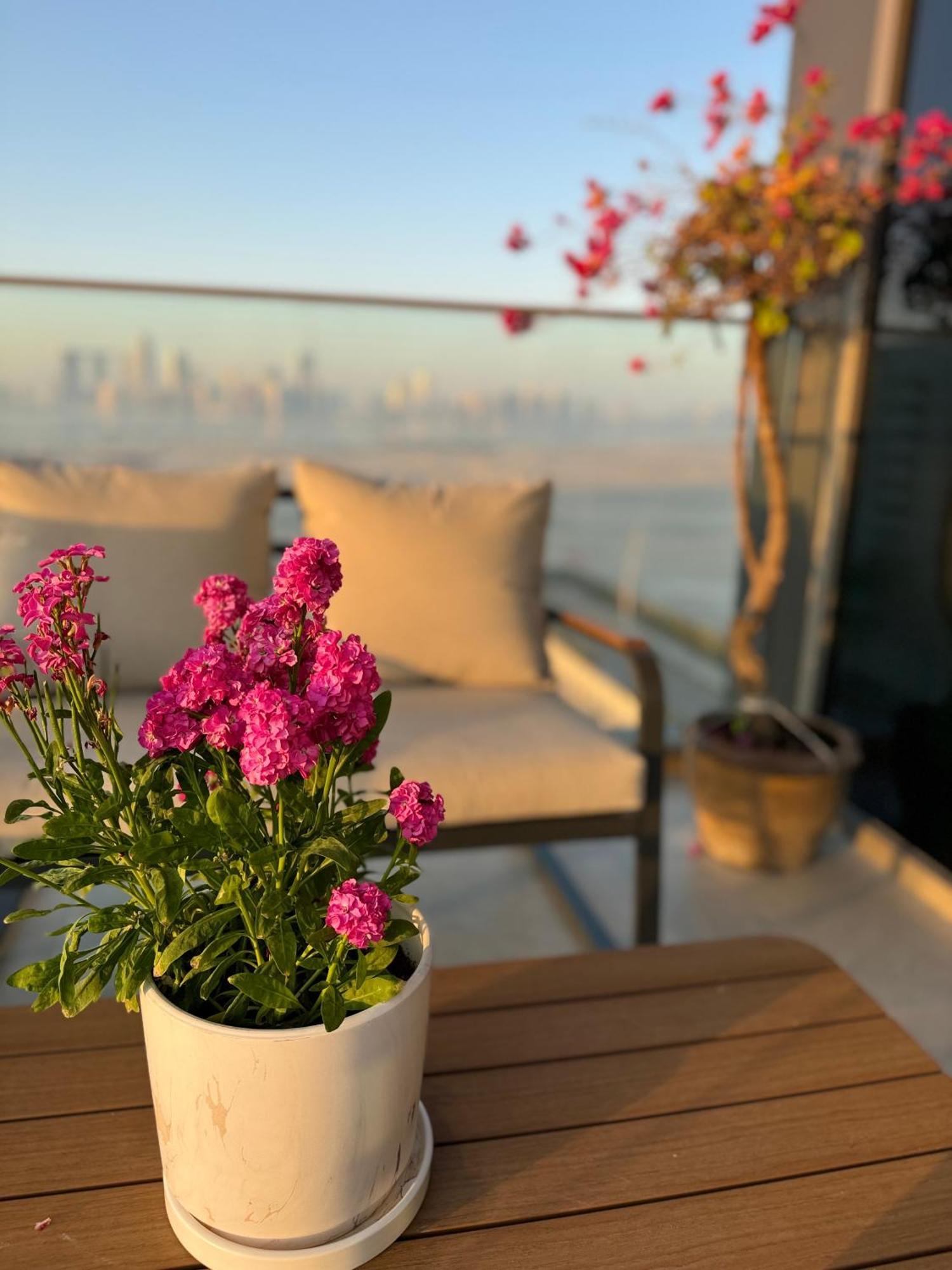 Apartment Luxury Saadiyat Fully Equipped